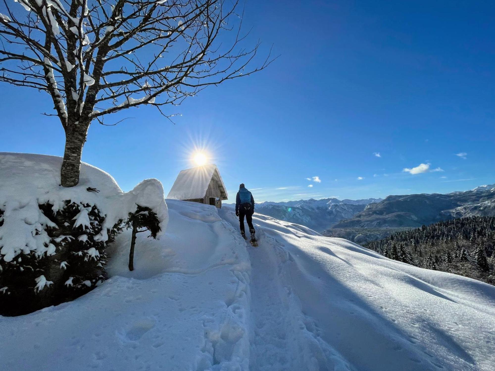 Chalet Hike&Bike Above Bohinj Valley Exteriör bild